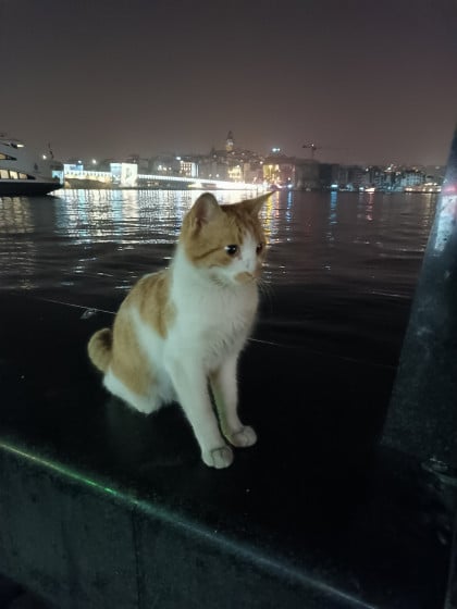 kullanıcı tarafından yüklenmiş görsel