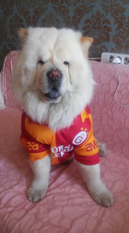 kullanıcı tarafından yüklenmiş görsel