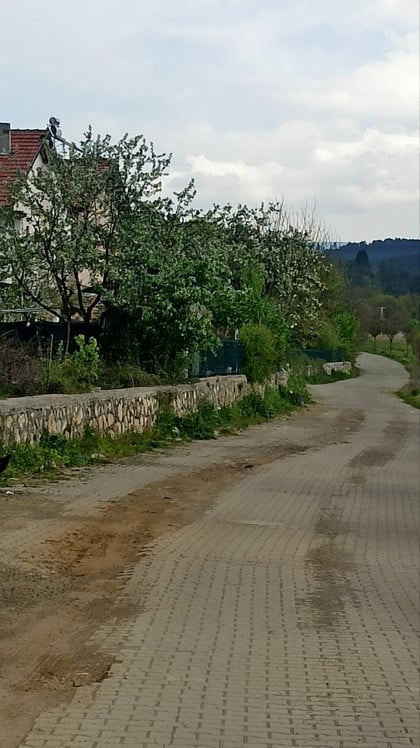 kullanıcı tarafından yüklenmiş görsel
