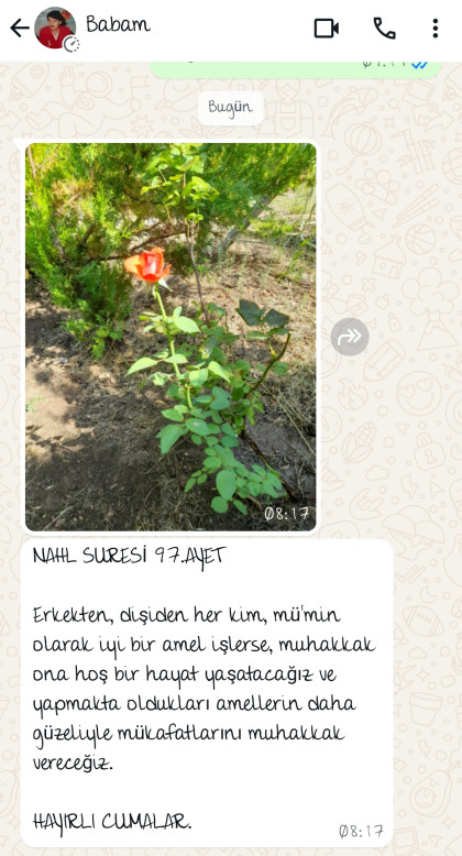 kullanıcı tarafından yüklenmiş görsel
