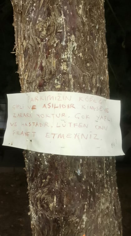 kullanıcı tarafından yüklenmiş görsel