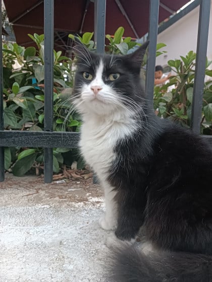 kullanıcı tarafından yüklenmiş görsel