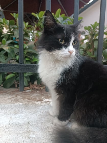 kullanıcı tarafından yüklenmiş görsel
