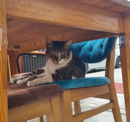kullanıcı tarafından yüklenmiş görsel