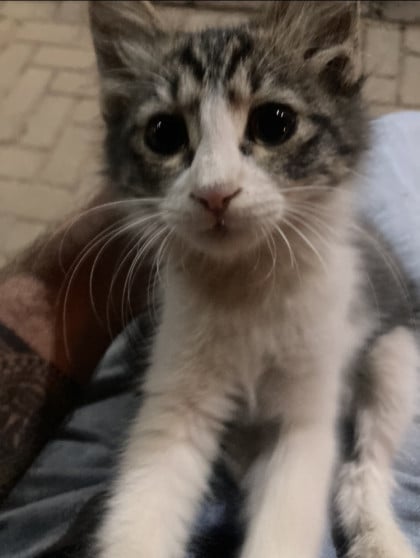 kullanıcı tarafından yüklenmiş görsel