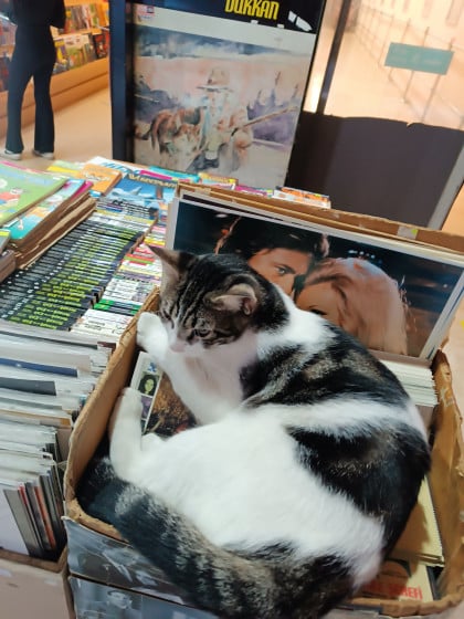 kullanıcı tarafından yüklenmiş görsel