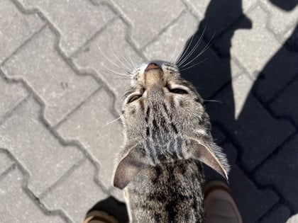 kullanıcı tarafından yüklenmiş görsel