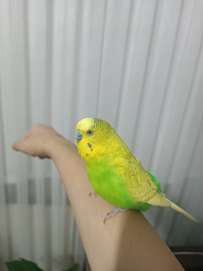kullanıcı tarafından yüklenmiş görsel