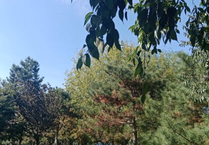 kullanıcı tarafından yüklenmiş görsel