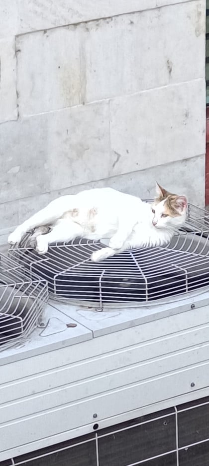 kullanıcı tarafından yüklenmiş görsel