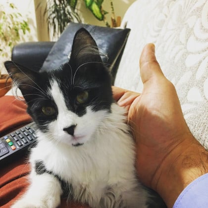 kullanıcı tarafından yüklenmiş görsel