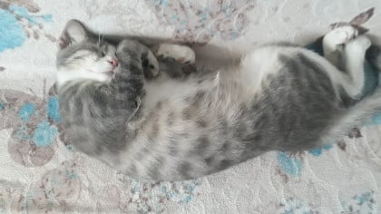 kullanıcı tarafından yüklenmiş görsel