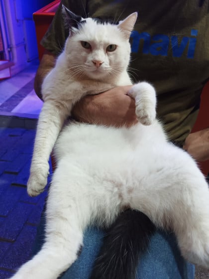 kullanıcı tarafından yüklenmiş görsel