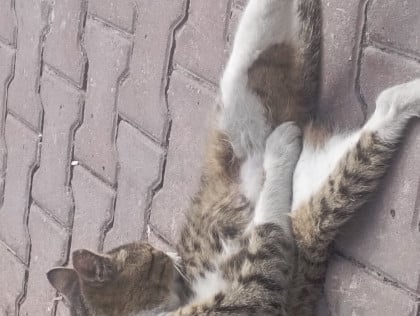 kullanıcı tarafından yüklenmiş görsel