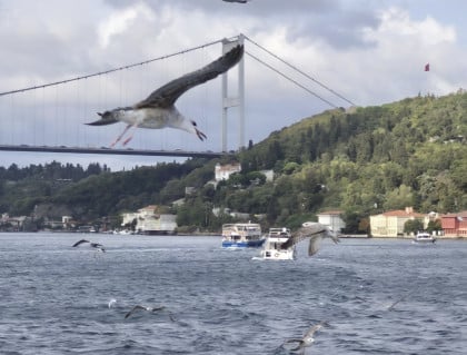 kullanıcı tarafından yüklenmiş görsel