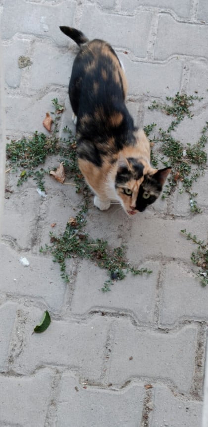 kullanıcı tarafından yüklenmiş görsel