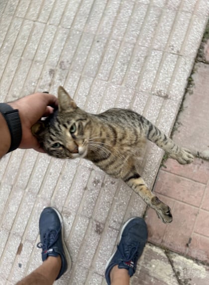 kullanıcı tarafından yüklenmiş görsel