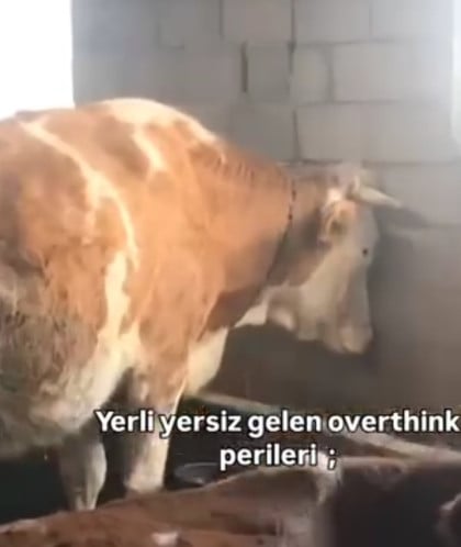 kullanıcı tarafından yüklenmiş görsel