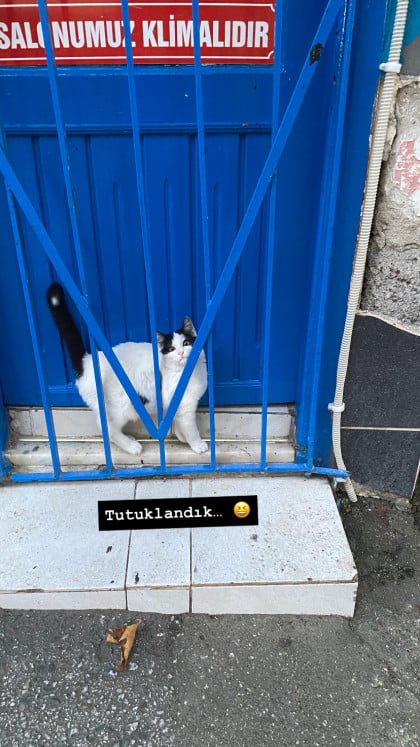 kullanıcı tarafından yüklenmiş görsel