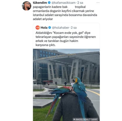 kullanıcı tarafından yüklenmiş görsel