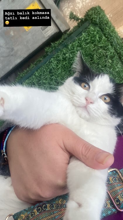 kullanıcı tarafından yüklenmiş görsel
