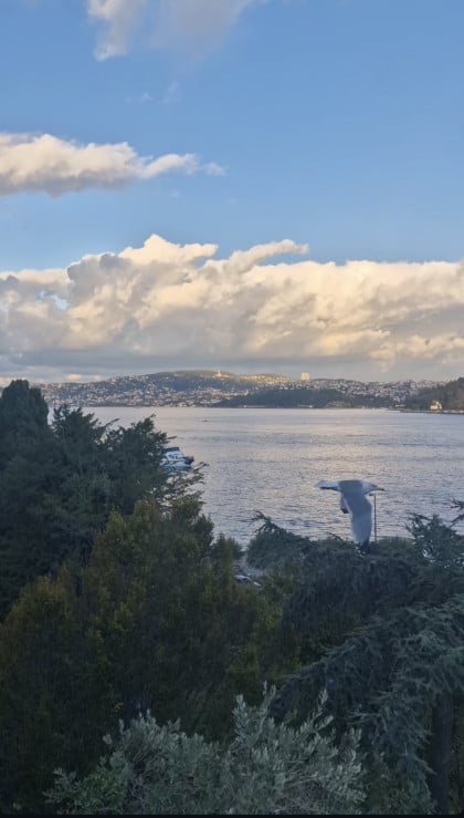 kullanıcı tarafından yüklenmiş görsel