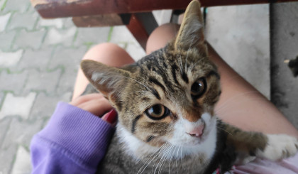 kullanıcı tarafından yüklenmiş görsel