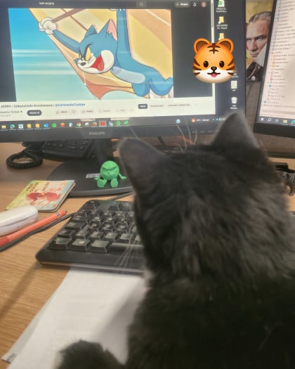 kullanıcı tarafından yüklenmiş görsel