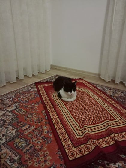 kullanıcı tarafından yüklenmiş görsel