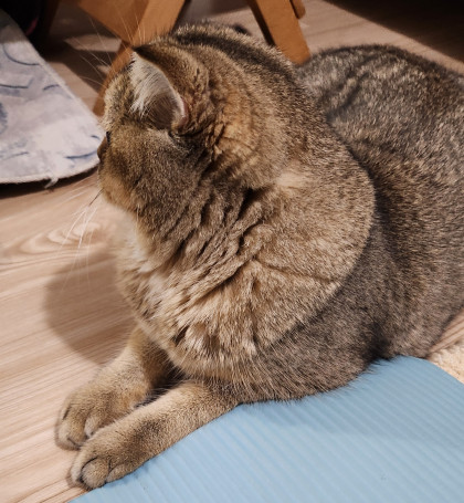 kullanıcı tarafından yüklenmiş görsel