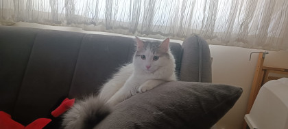 kullanıcı tarafından yüklenmiş görsel