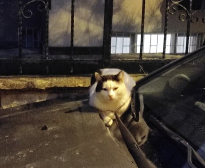 kullanıcı tarafından yüklenmiş görsel