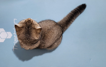 kullanıcı tarafından yüklenmiş görsel