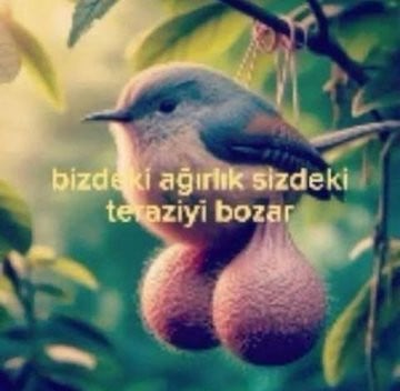 kullanıcı tarafından yüklenmiş görsel