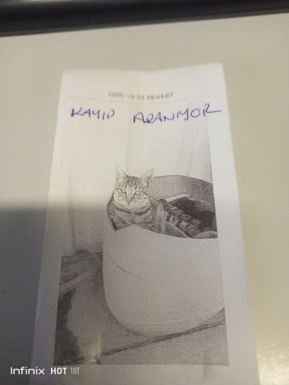 kullanıcı tarafından yüklenmiş görsel
