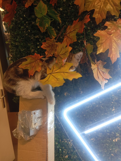 kullanıcı tarafından yüklenmiş görsel