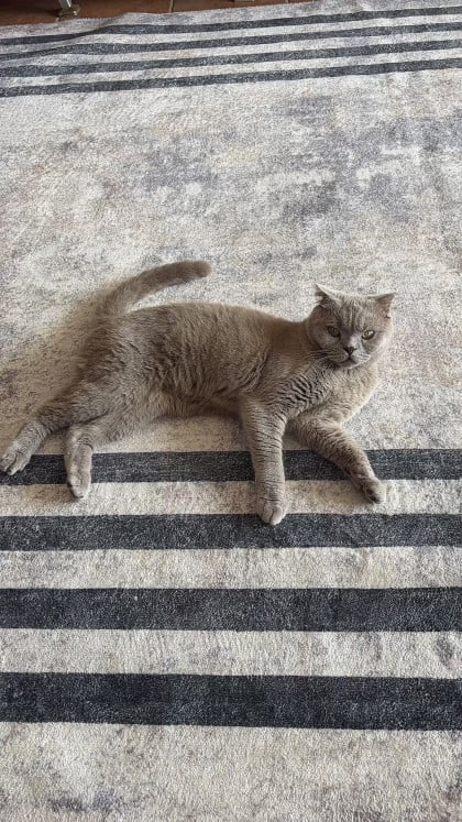 kullanıcı tarafından yüklenmiş görsel