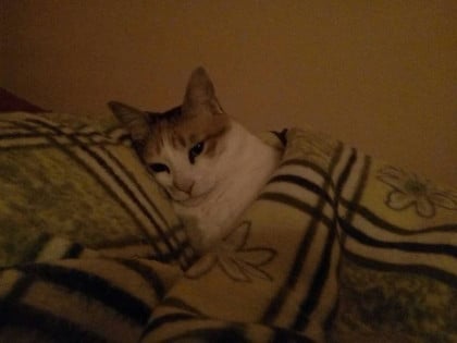 kullanıcı tarafından yüklenmiş görsel