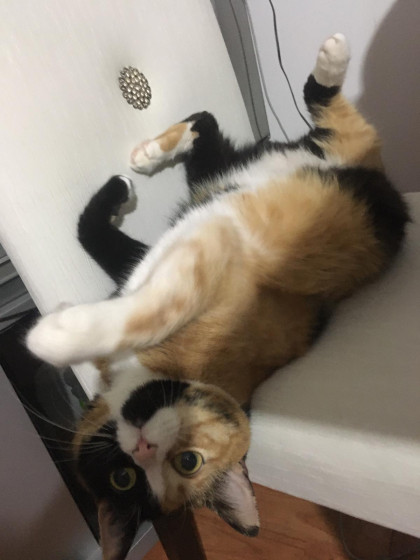 kullanıcı tarafından yüklenmiş görsel