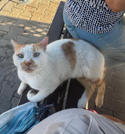 kullanıcı tarafından yüklenmiş görsel