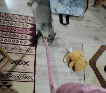 kullanıcı tarafından yüklenmiş görsel