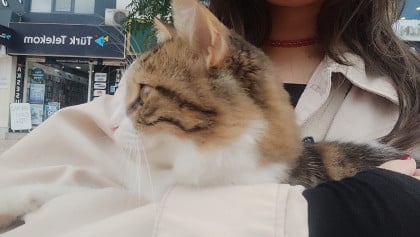 kullanıcı tarafından yüklenmiş görsel