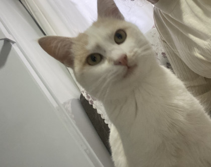 kullanıcı tarafından yüklenmiş görsel