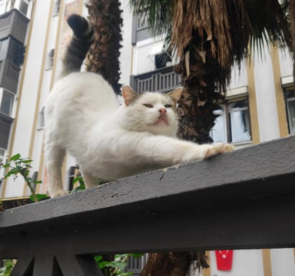 kullanıcı tarafından yüklenmiş görsel