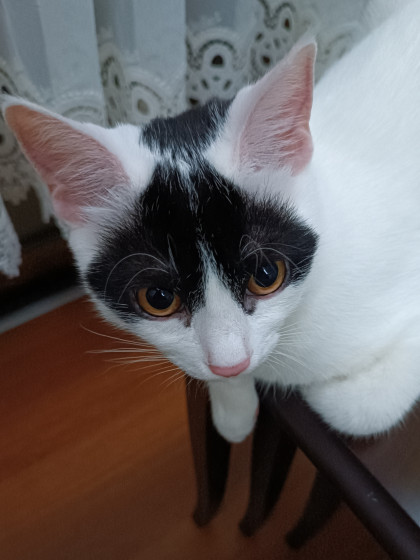 kullanıcı tarafından yüklenmiş görsel