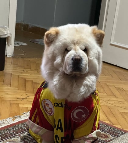 kullanıcı tarafından yüklenmiş görsel