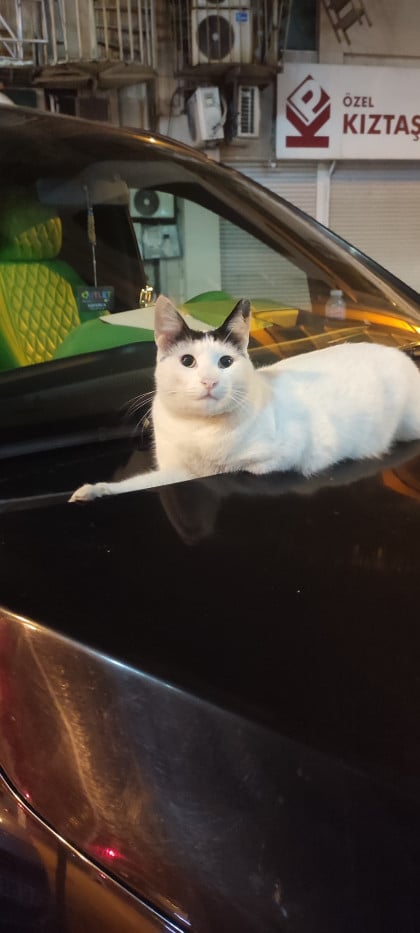 kullanıcı tarafından yüklenmiş görsel