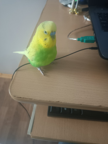 kullanıcı tarafından yüklenmiş görsel