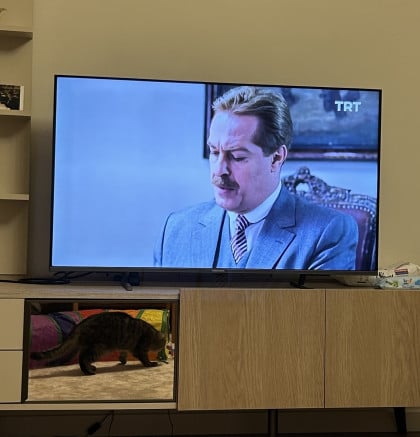 kullanıcı tarafından yüklenmiş görsel