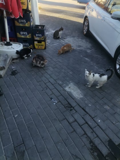 kullanıcı tarafından yüklenmiş görsel